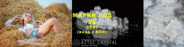 apvp Инта