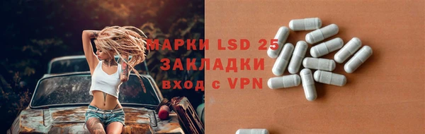 apvp Инта