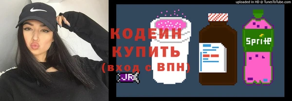 apvp Инта