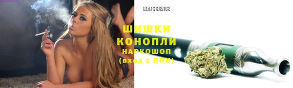 а пвп мука Инсар