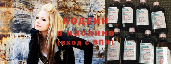 apvp Инта