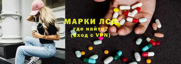apvp Инта