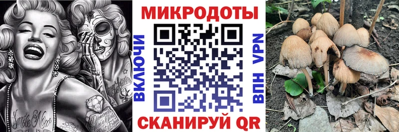 Купить  Харовск  Галлюциногенные грибы Magic Shrooms 